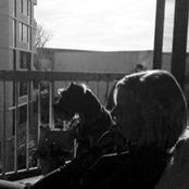 Laura Mack's photo
