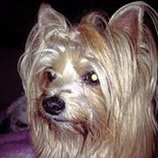 Photo de Beatriz de Morales