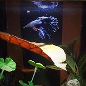 Jill Adamski's photo