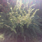 Роман's photo