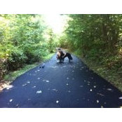 Sally Dunleavy's photo
