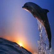 Debbie Sheridan's photo