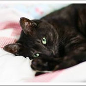 Kerry H's photo