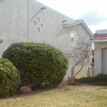 Our Work