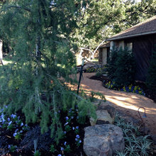 Landscape Design