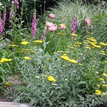 Cottage Garden, North Kingstown, RI
