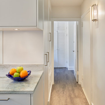 Condo Kitchen and Powder Room Remodel - Washington, DC