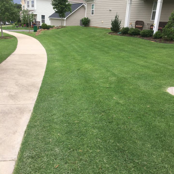 Landscaping Projects