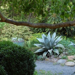 Container gardening - Home Decor