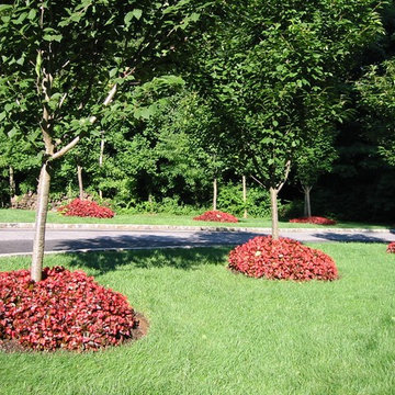Front Entry Way Porch Garden Beds and Driveway