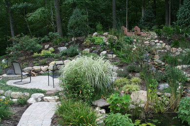 Pond and Patio