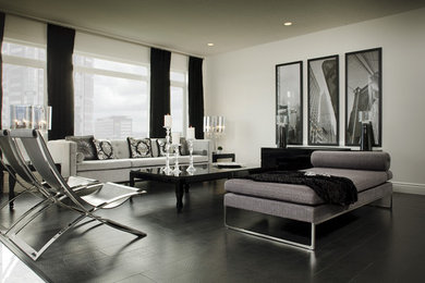 Example of a minimalist living room design in DC Metro