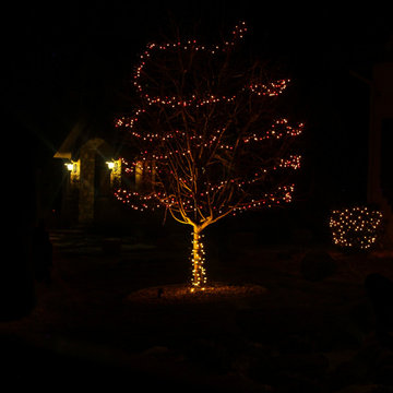 Christmas Lights