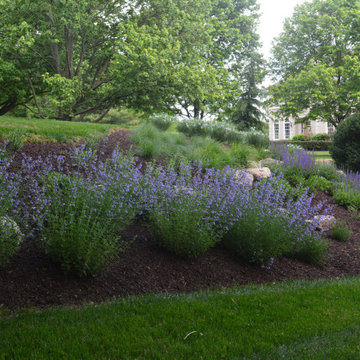 Perennial planting on septic dome.