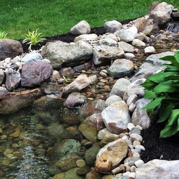 Ponds and Streams