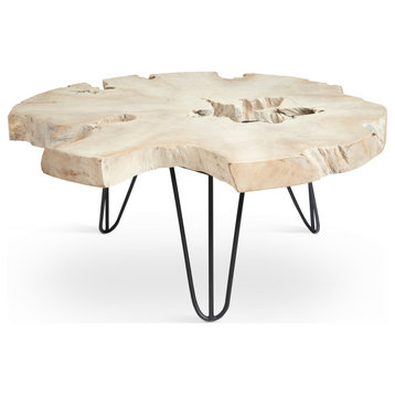 Bleached Slice Coffee Table, Iron Legs