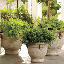 Traditional Indoor Pots And Planters by Pottery Barn