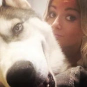 Ashton McInnes's photo