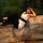 sunshyne251