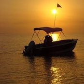 Robert Freeman's photo