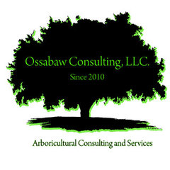 Ossabaw Consulting