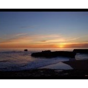 Natalie Rynn's photo
