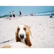 Betty Prather's photo