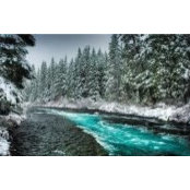 Cindy Miller-Lasich's photo