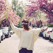 Li Schie's photo
