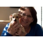 Susan Vogel's photo