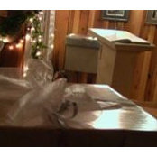 Kim Ristoff's photo