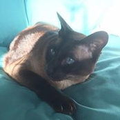 Karen Pavlow's photo