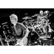 Shane Roach's photo