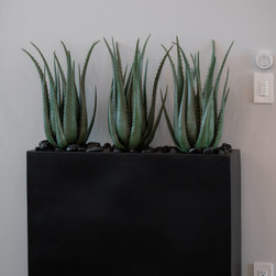 29 Windermere Dr. SW - Artificial Plants And Trees