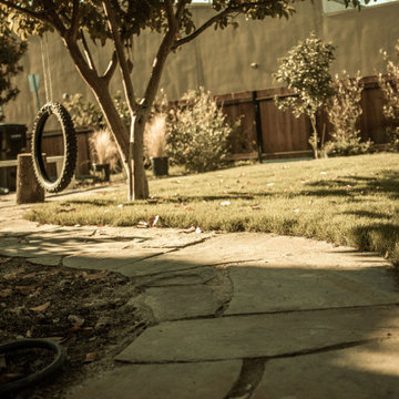 Full yard makeover