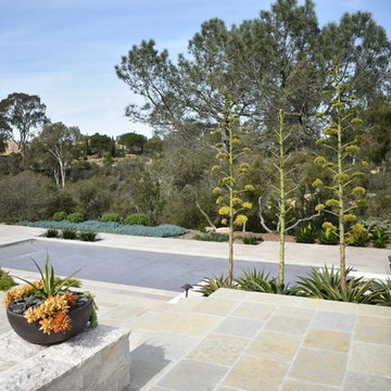 Jerusalem Stone Custom Concrete Stained Pool Deck