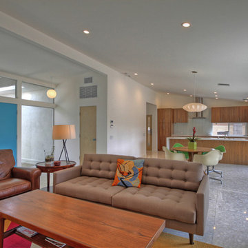 Palm Desert Living Modern Living Room