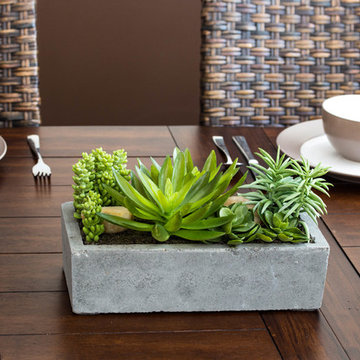 Wooden Dining Table with Wicker Chairs and Succulent Centerpiece