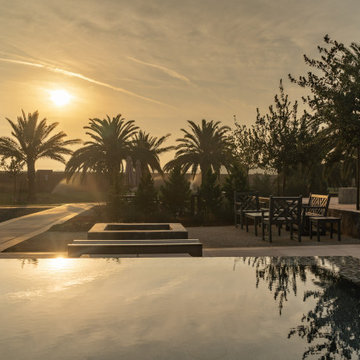 Mid-East Modern