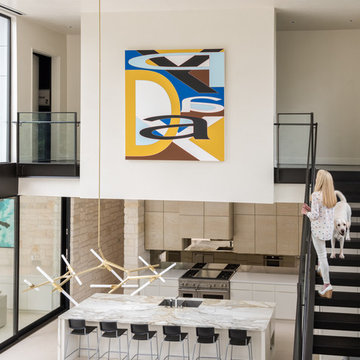 River Oaks Modern House