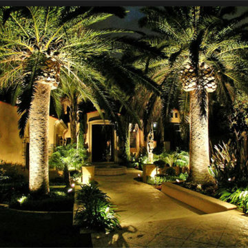Landscape Illumination