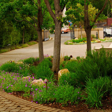 Mediterranean Estate Garden