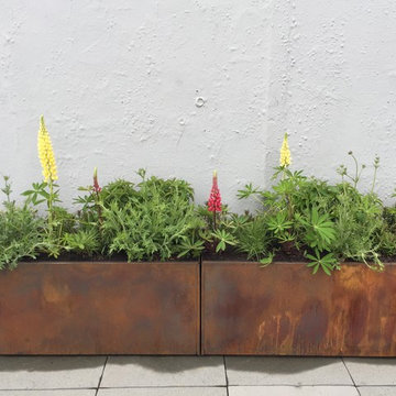 Meadow Inspired Native Grasses and Perennials