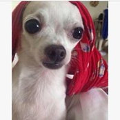 Nicole Jorge's photo