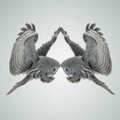 Fabio Eracle's photo