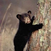 Patricia Randolph's photo