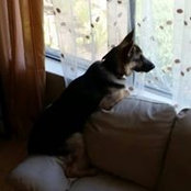 Yulia Broyde's photo