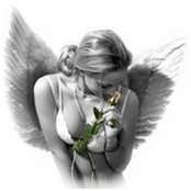 Julie Pavillon's photo