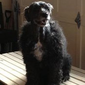 Shaun Snyder's photo