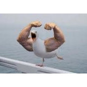 Douglas Monteiro's photo